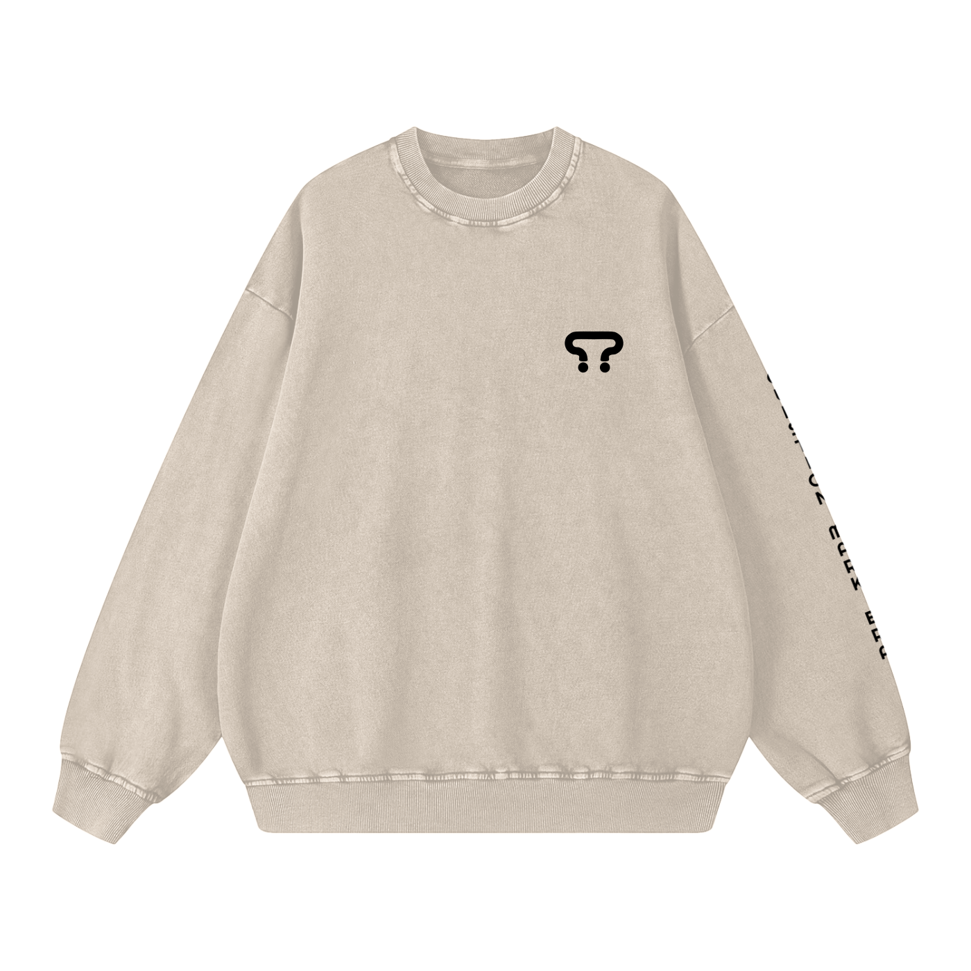 Snow Washed Oversized Sweatshirt